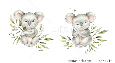 Set of cute kawaii koalas sitting with green branch eucalyptus and sleeping. Watercolor hand drawn illustration australian animal isolated on background. Cartoon kids print minimalist style. Set of cute kawaii koalas sitting with green branch eucalyptus and sleeping. Watercolor hand drawn illustration australian animal isolated on background. Cartoon kids print minimalist style. 116434712