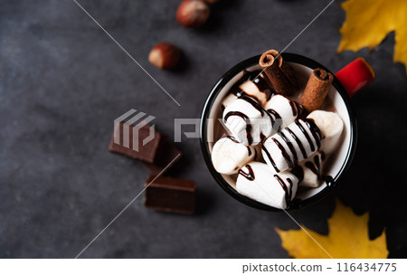 a cup of hot chocolate with marshmallow, nuts and cinnamon on a dark gray table. Autumn concept 116434775