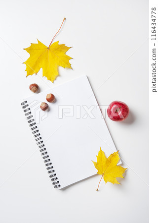 Concept autumn flat lay with yellow maple leaves on notepad and a red apple on a white table. Concept autumn flat lay with yellow maple leaves on notepad and a red apple on a white table. 116434778