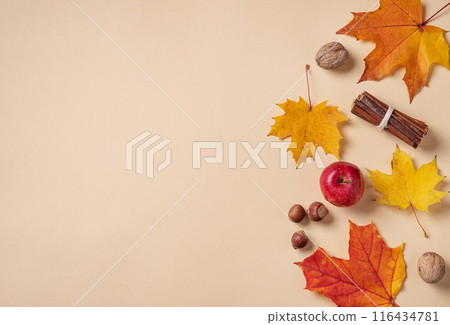 Autumn flat lay with bright colorful maple leaves  with apple and nuts on orange background. 116434781