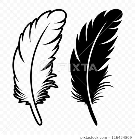 Vector Black and White Fluffy Feather Logo Icons. Silhouette Feather Set Closeup Isolated. Design Template of Flamingo, Angel, Bird Feather. Lightness and Freedom Concept 116434809