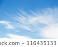 Cirrocumulus white clouds in the blue sky background, sky only 116435133