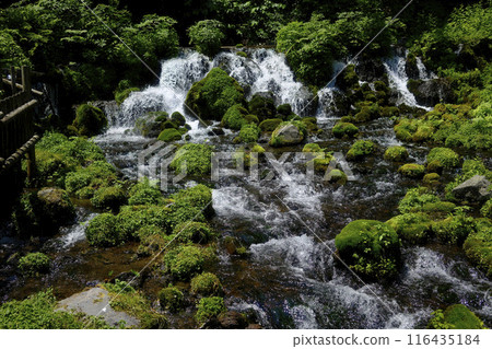 Spring water in Kyogoku Town 116435184