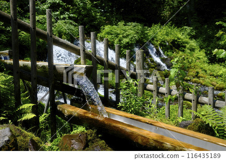 Spring water in Kyogoku Town Spring water in Kyogoku Town 116435189