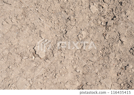 natural texture background cracked ground sunny weather outdoor natural texture background cracked ground sunny weather outdoor 116435415