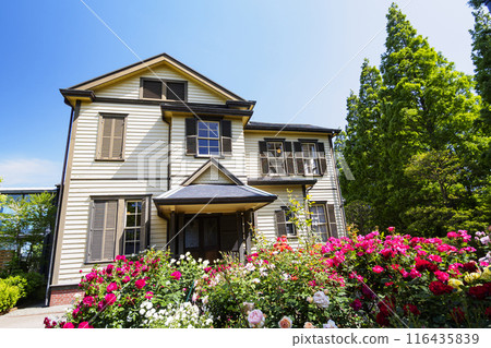 Early summer at the house with roses (Yamate Italian Garden) Early summer at the house with roses (Yamate Italian Garden) 116435839