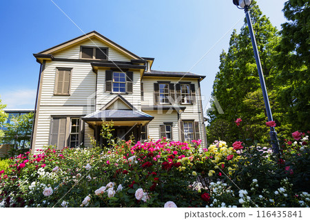 Early summer at the house with roses (Yamate Italian Garden) Early summer at the house with roses (Yamate Italian Garden) 116435841