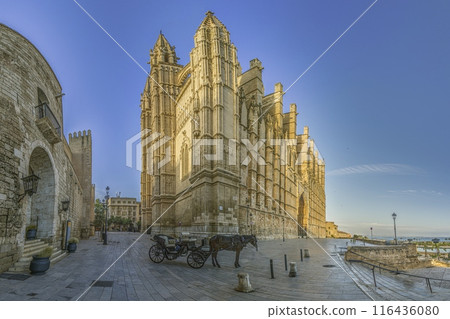 Panoramic image of Palma de Mallorca Cathedral in the evening light 116436080