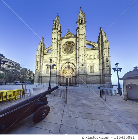 Panoramic image of Palma de Mallorca Cathedral in the evening light Panoramic image of Palma de Mallorca Cathedral in the evening light 116436081