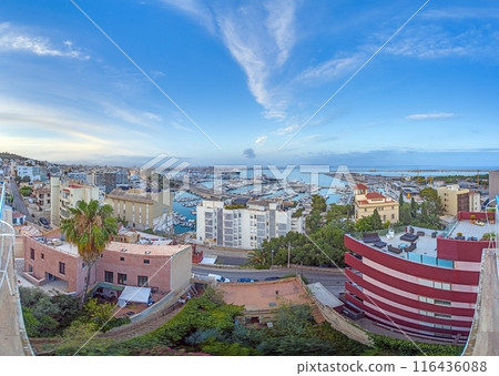 Panoramic view from an elevated position of the port of Palma de Mallorca with cruise ship 116436088
