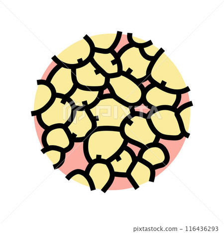adipose tissue obesity overweight color icon vector illustration 116436293