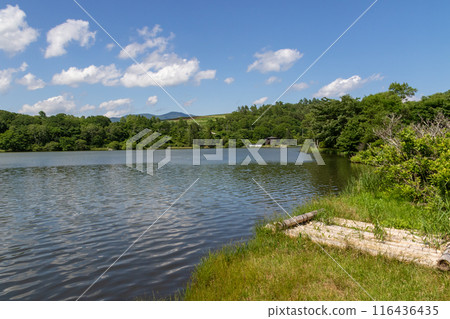 群馬縣夏日湖原木嬬戀村 116436435