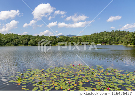 群馬縣夏日湖原木嬬戀村 116436437
