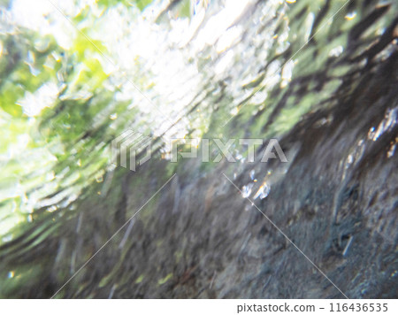 A sparkling image of a clear stream in the forest: Oyamakiyazawa mountain stream A sparkling image of a clear stream in the forest: Oyamakiyazawa mountain stream 116436535