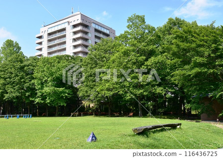 栃木縣那鬚町那須高原的住宿設施埃皮納勒酒店的草坪廣場 栃木縣那鬚町那須高原的住宿設施埃皮納勒酒店的草坪廣場 116436725