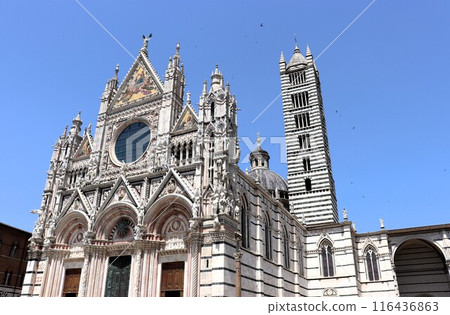Blue sky cathedral Duomo World Heritage Site Siena Italy Europe Blue sky cathedral Duomo World Heritage Site Siena Italy Europe 116436863