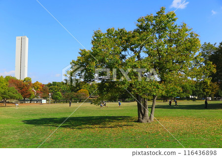 Daisen Park in Sakai City, Osaka Prefecture: "Large Lawn Square" designed with a moderate slope Daisen Park in Sakai City, Osaka Prefecture: "Large Lawn Square" designed with a moderate slope 116436898