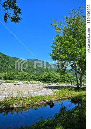 三俁水上樂園、客家苔蘚群落、清津川、河邊風景 116436991