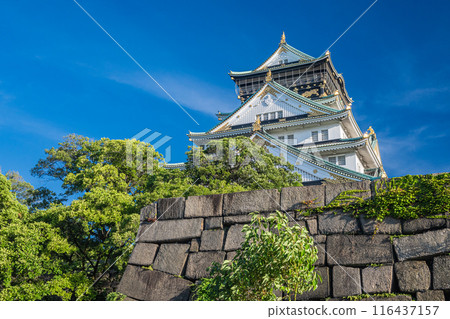 Osaka Castle castle tower Osaka Castle castle tower 116437157