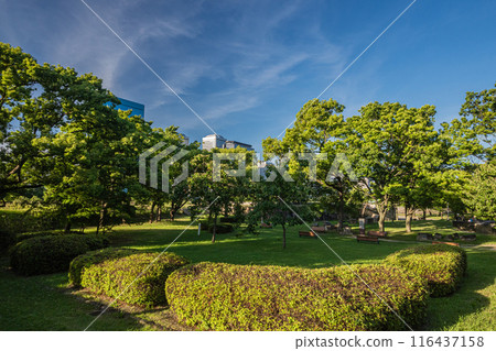 Osaka Castle Park Garden Osaka Castle Park Garden 116437158