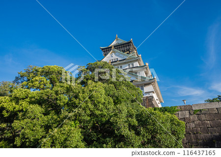 大阪城堡城堡塔 大阪城堡城堡塔 116437165