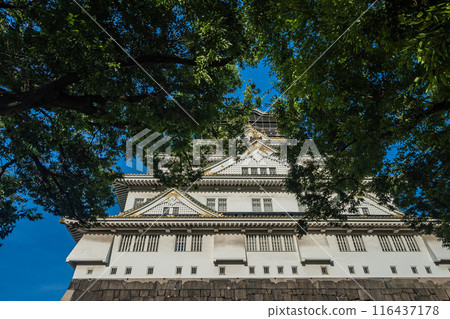 Osaka Castle castle tower 116437178