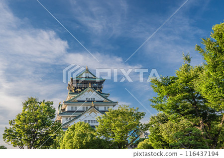 大阪城堡城堡塔 大阪城堡城堡塔 116437194