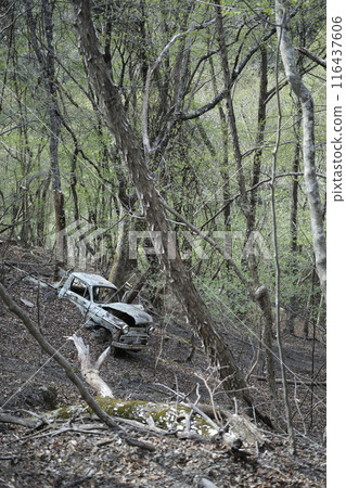 A decayed track 116437606