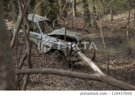 腐爛的賽道 116437608