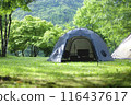 在清新的綠地中享受露營的樂趣 116437617