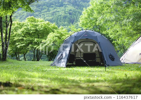 在清新的綠地中享受露營的樂趣 116437617