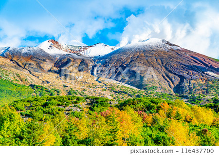 Hokkaido: Snow-capped Mount Tokachi and autumn leaves - From Bougakudai Hokkaido: Snow-capped Mount Tokachi and autumn leaves - From Bougakudai 116437700