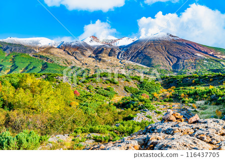 北海道、白雪皚皚的十勝岳和紅葉～來自望岳台～ 116437705