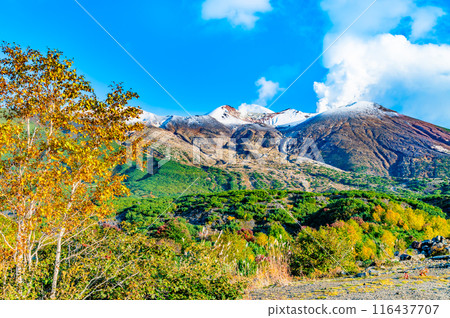 Hokkaido: Snow-capped Mount Tokachi and autumn leaves - From Bougakudai 116437707