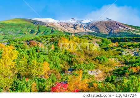 Hokkaido: Snow-capped Mount Tokachi and autumn leaves - From Bougakudai 116437724