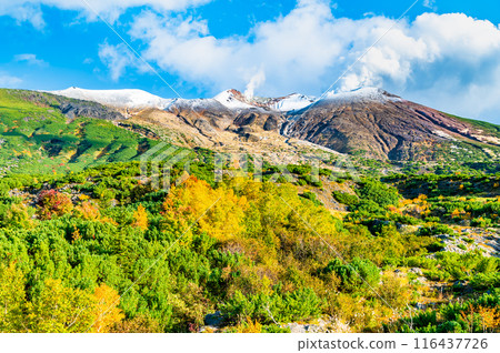 Hokkaido: Snow-capped Mount Tokachi and autumn leaves - From Bougakudai 116437726