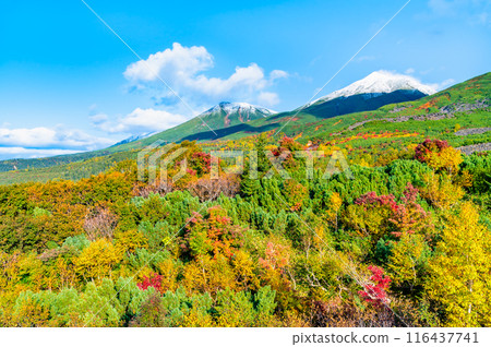 北海道白雪覆蓋的美瑛山和美瑛富士～從觀景台看紅葉～ 116437741