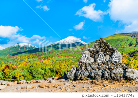 Hokkaido: Snow-capped Mount Biei and Mount Biei Fuji - from Bougakudai with autumn leaves 116437742