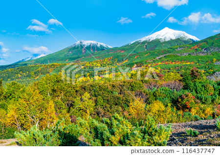 北海道白雪覆蓋的美瑛山和美瑛富士～從觀景台看紅葉～ 116437747