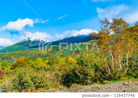 北海道白雪覆蓋的美瑛山和美瑛富士～從觀景台看紅葉～ 116437748