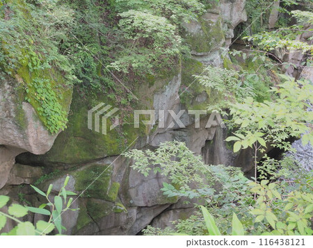 雷裡峽奇岩怪石(8月拍攝) 雷裡峽奇岩怪石(8月拍攝) 116438121
