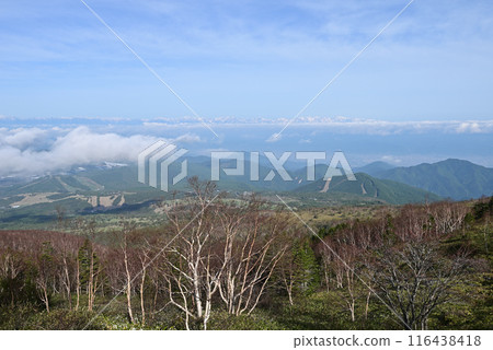 Climbing Mount Azuma, Nagano Prefecture, Gunma Prefecture 116438418