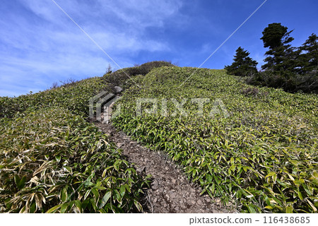 攀登群馬縣長野縣志賀山 116438685