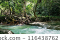 waterfall in deep forest in indonesia 116438762