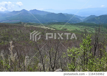 Climbing Mount Azuma, Nagano Prefecture, Gunma Prefecture 116438962