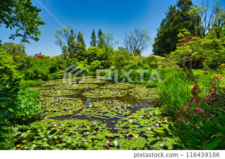 Garden Museum Hiei Garden Museum Hiei 116439186
