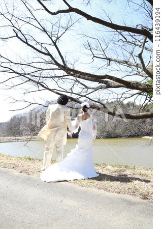 Bride in a wedding dress and groom in a tuxedo, back view wedding photo, taken on location by the lake Bride in a wedding dress and groom in a tuxedo, back view wedding photo, taken on location by the lake 116439194