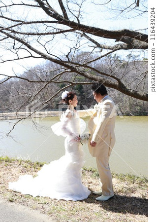 A bride in a wedding dress and a groom in a tuxedo. Photo wedding photo taken on a quiet lakeside location. A bride in a wedding dress and a groom in a tuxedo. Photo wedding photo taken on a quiet lakeside location. 116439204