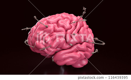 The Brain and  barbed wire for sci or medical concept 3d rendering. 116439395