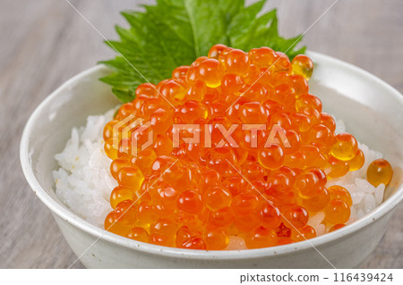 吃大量鮭魚子的米飯 116439424